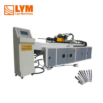 HYRAULISCHE PIPE HOOL PUNCHING MACHINE Servo motor voedingsrotaion voor stalen pijp